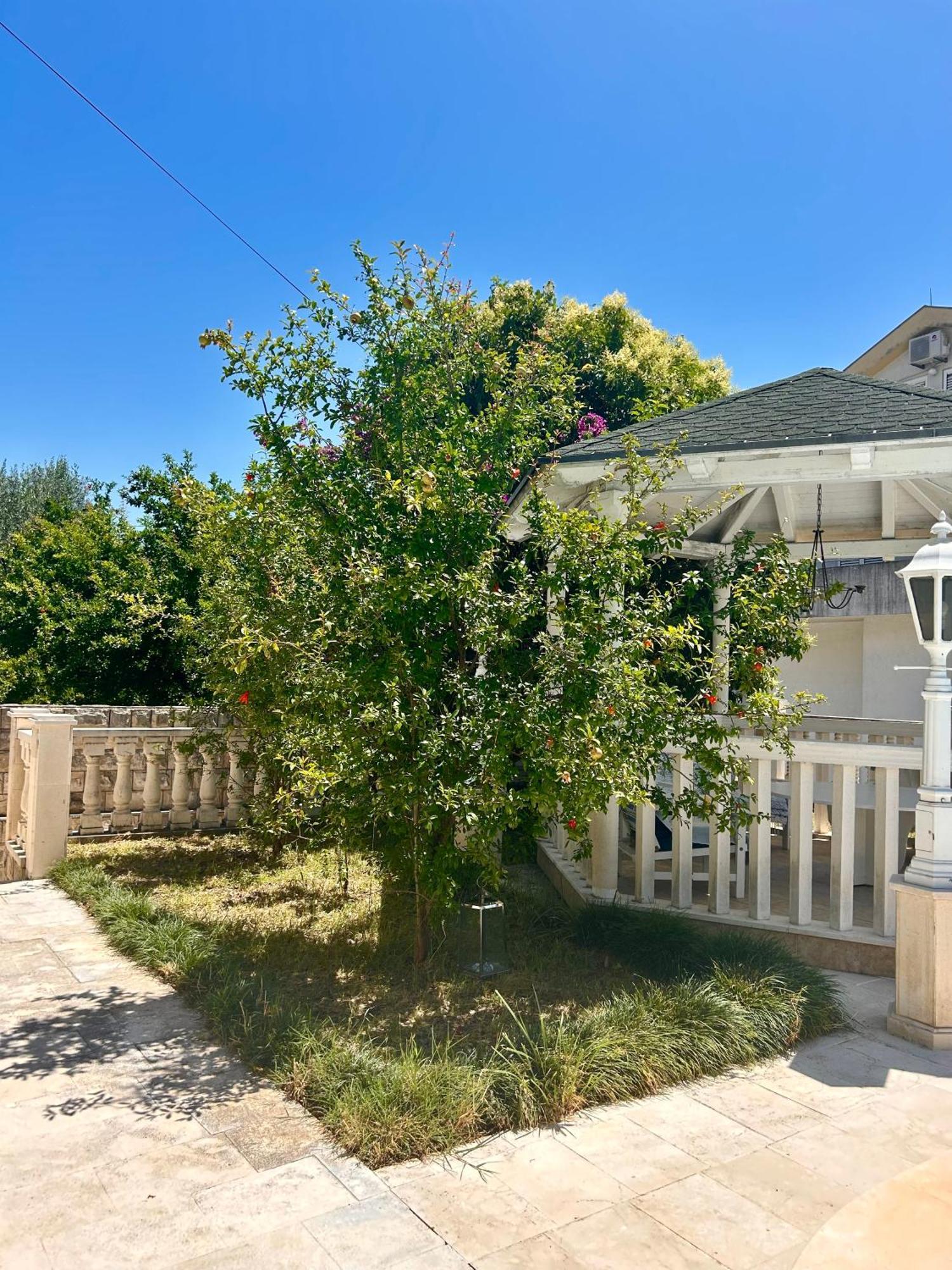 Guest House Vila Eli Herceg Novi Dış mekan fotoğraf